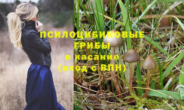 гидропоника Абаза