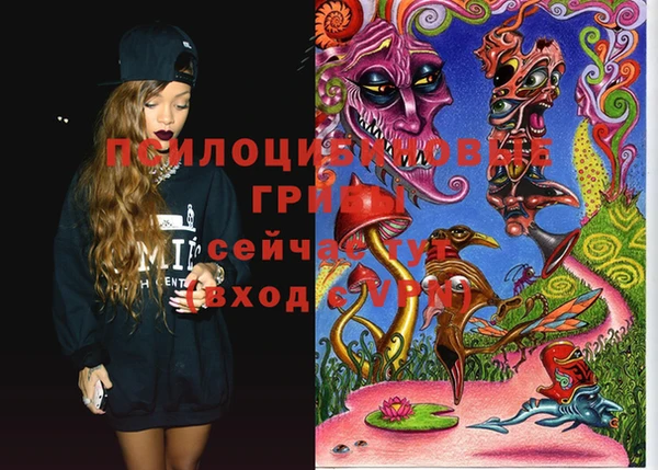 крисы Абинск