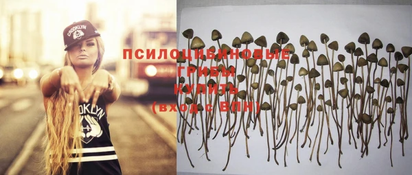 крисы Абинск