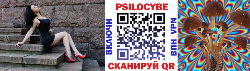 Псилоцибиновые грибы Magic Shrooms  Кинешма 