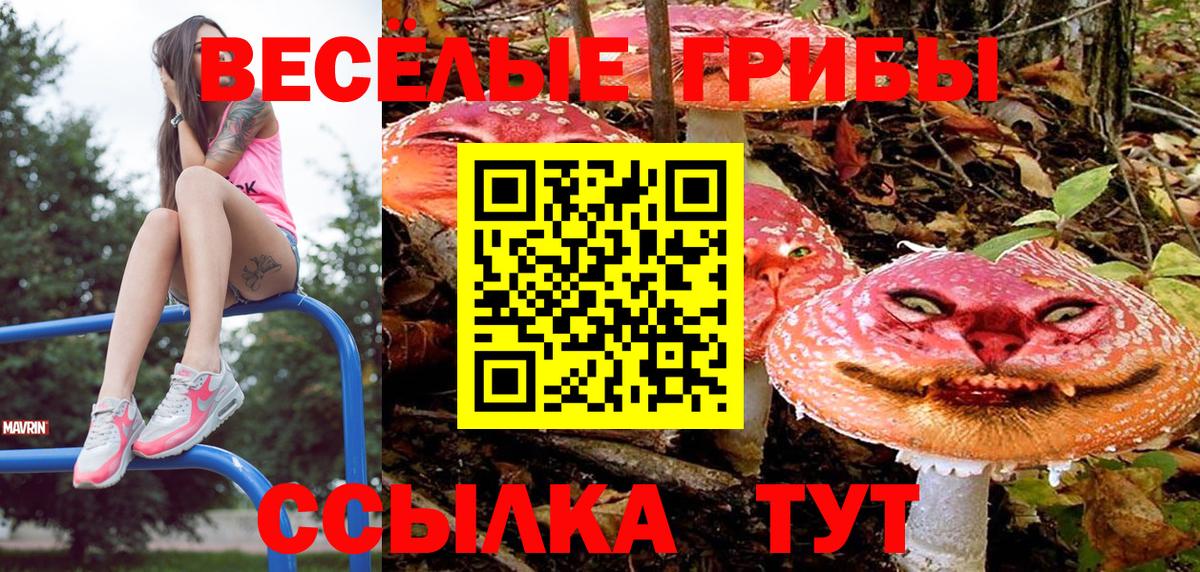 Галлюциногенные грибы Magic Shrooms Кинешма
