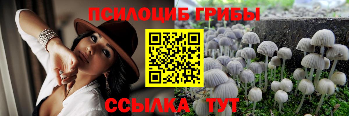 Псилоцибиновые грибы Psilocybe  Галлюциногенные грибы Magic Shrooms  Кинешма  Вход с VPN 